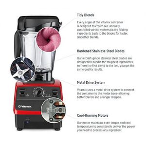 vitamix 5300 review