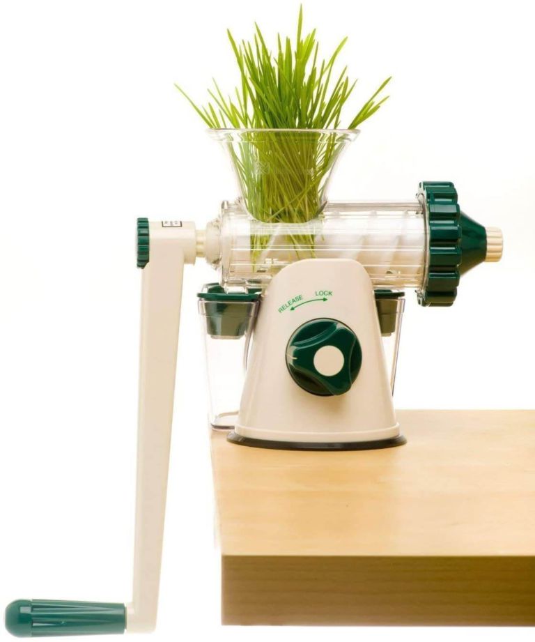 Manual Wheatgrass Juicer Review Guide For 2021]